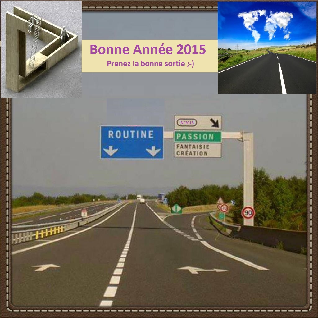 Bonne Année 2015