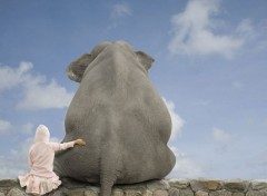 Peter Drucker – le pape du management