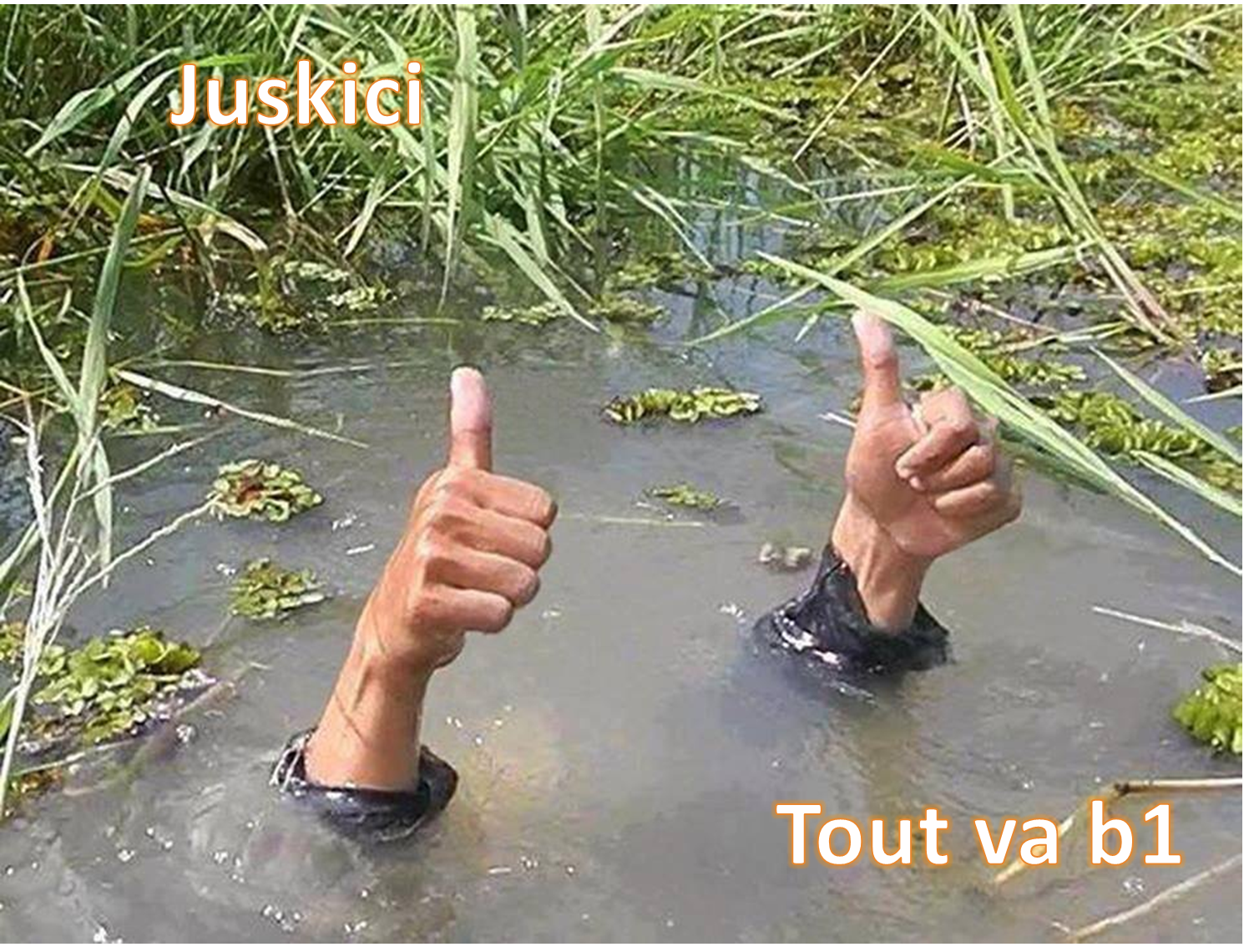 Juskici